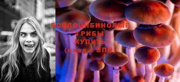 ешки Кодинск