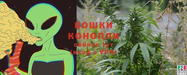 ешки Кодинск