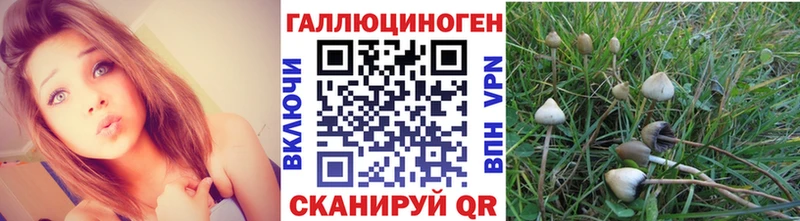 Купить  Пятигорск  Галлюциногенные грибы мицелий 